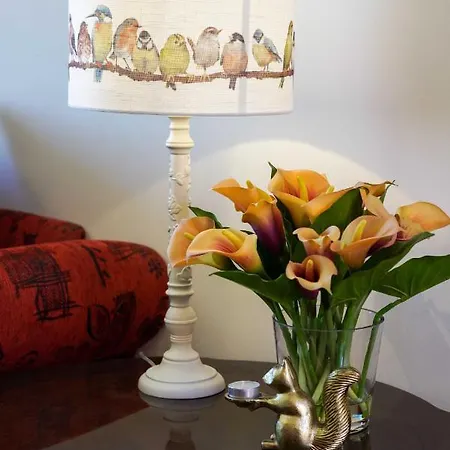 Boutique Guest Zephyrus 4* Split