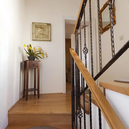 Boutique Guest Zephyrus