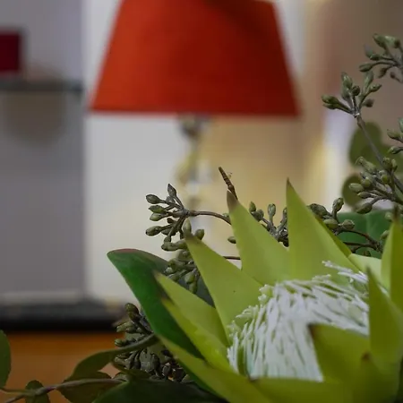 Boutique Guest Zephyrus Gæstehus Split