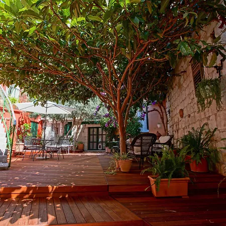 Boutique Guest Zephyrus Split