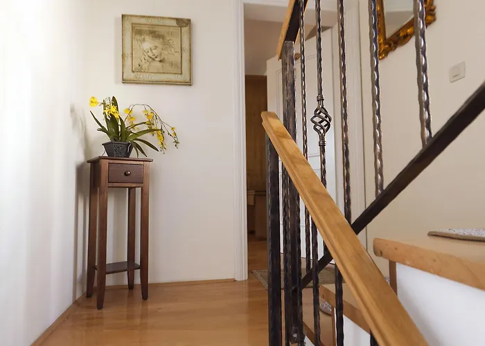 Boutique Guest Zephyrus